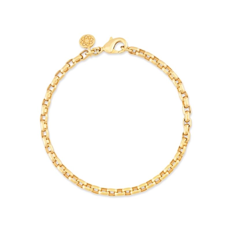 14k gold rolo chain EMF bracelet
