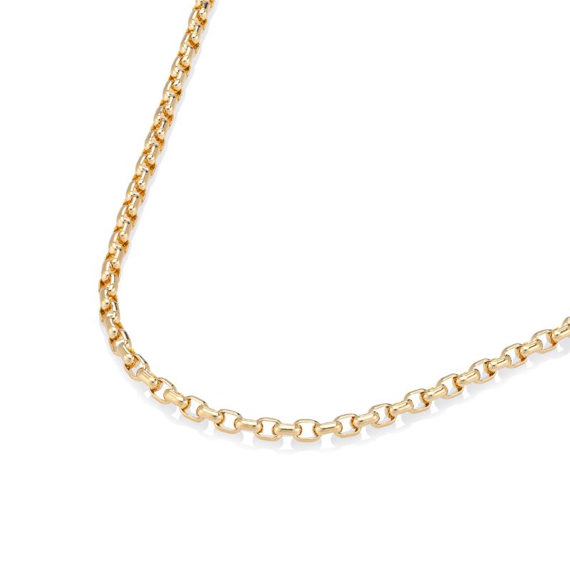 18k gold luna link chain EMF necklace