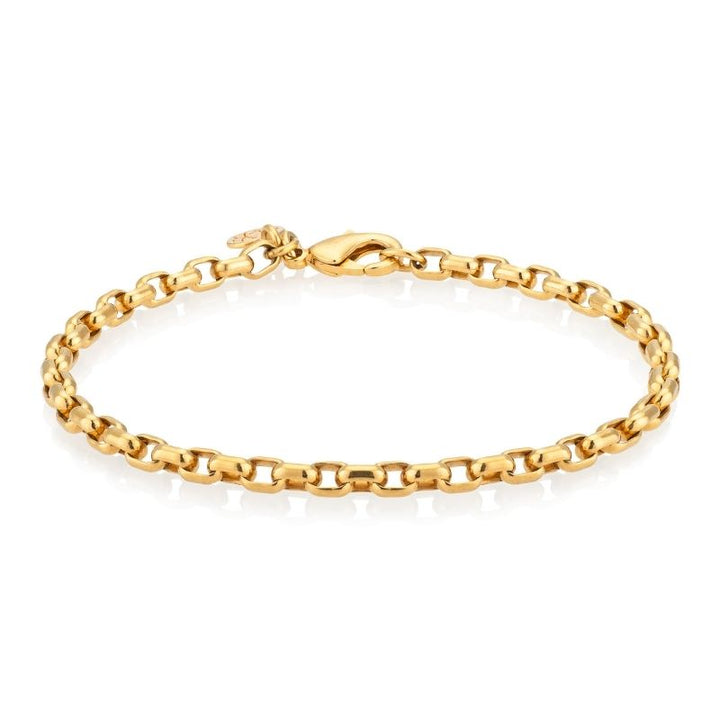 EMF protection bracelet 14k gold chain
