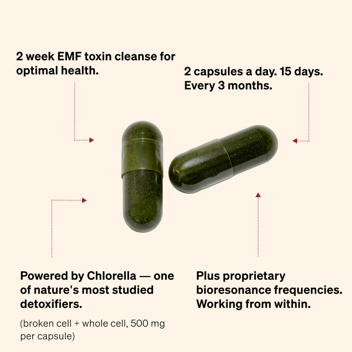 EMF Cleane Support Caps Supplements