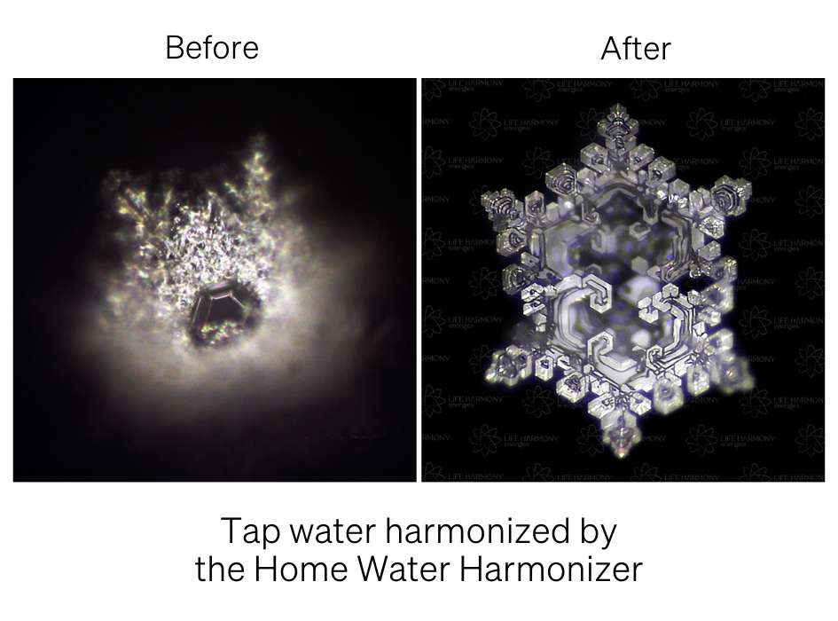 tap water harmonized by Home Water Harmonizer