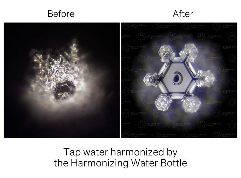 Harmonizing Water Bottle